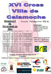 Cartel Calamocha 2014