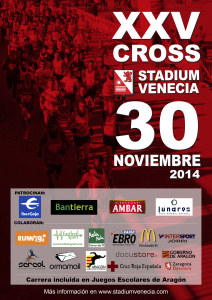 Cartel Stadium Venecia 2014