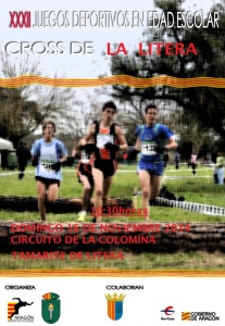 Cross Escolar 2014. Cartel