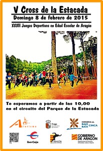 Cartel V Cross de la Estacada-Fraga-web