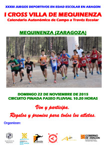 Cartel I Cross Mequinenza