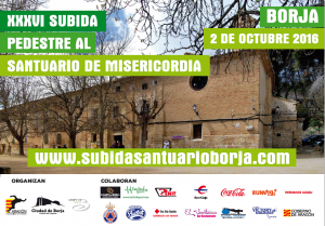 cartel-subida-santuario-borja-2016