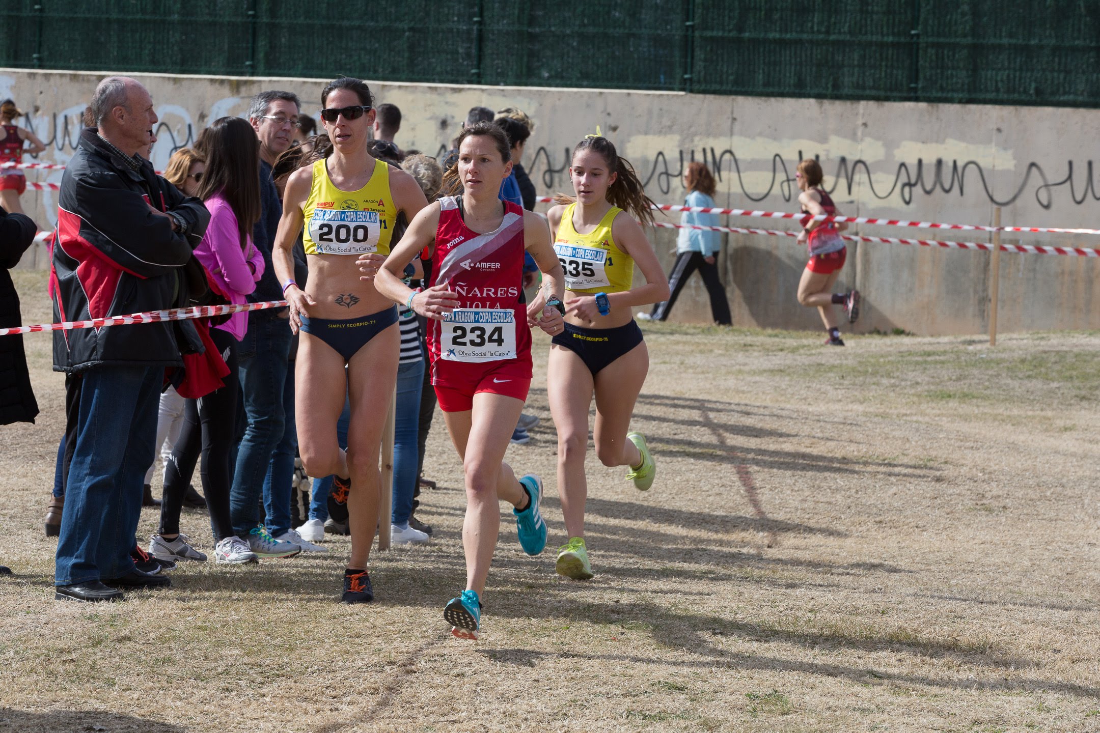 Cross Calatayud/ Foto de www.olimpoatletismo.es